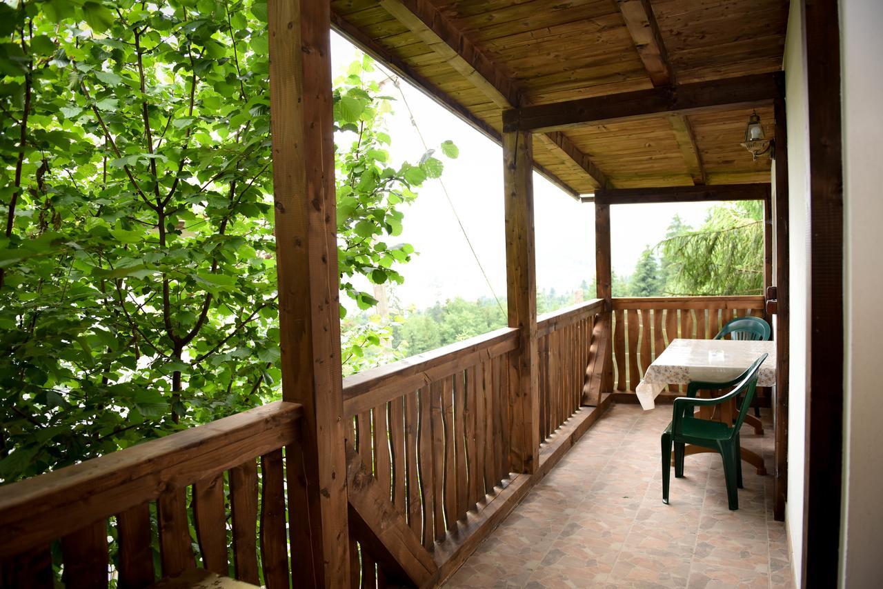 Casa Edy Hotel Colibita Ngoại thất bức ảnh